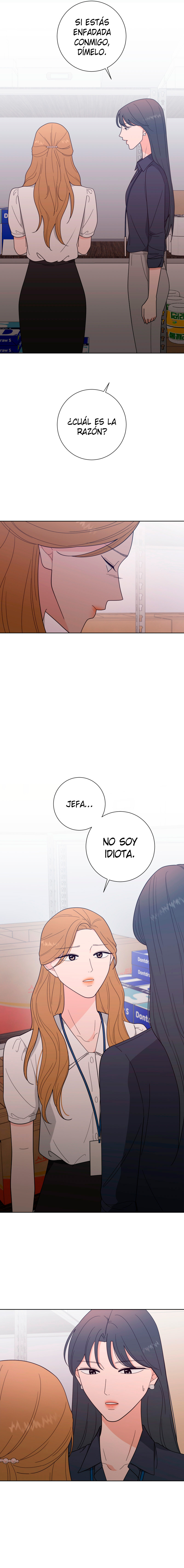 Imagen del capítulo 14